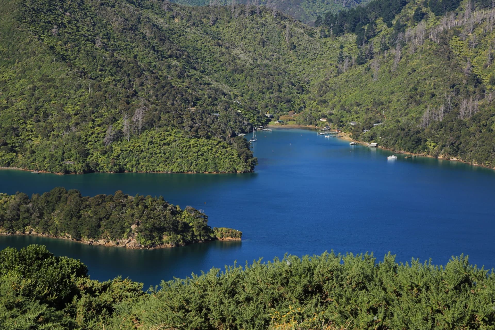 Onahau Bay in the Marlborough Sounds
