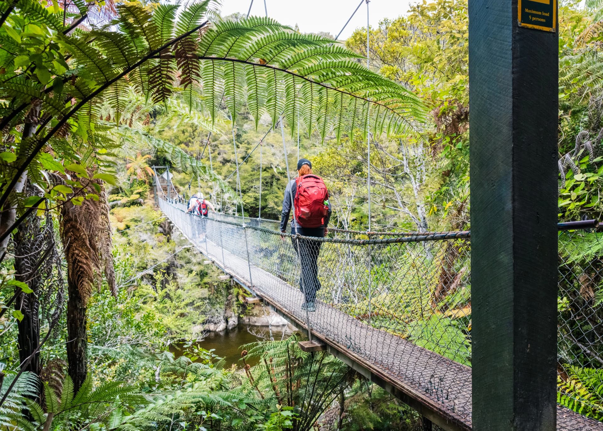 crossing a bridge hiking abel tasman national park