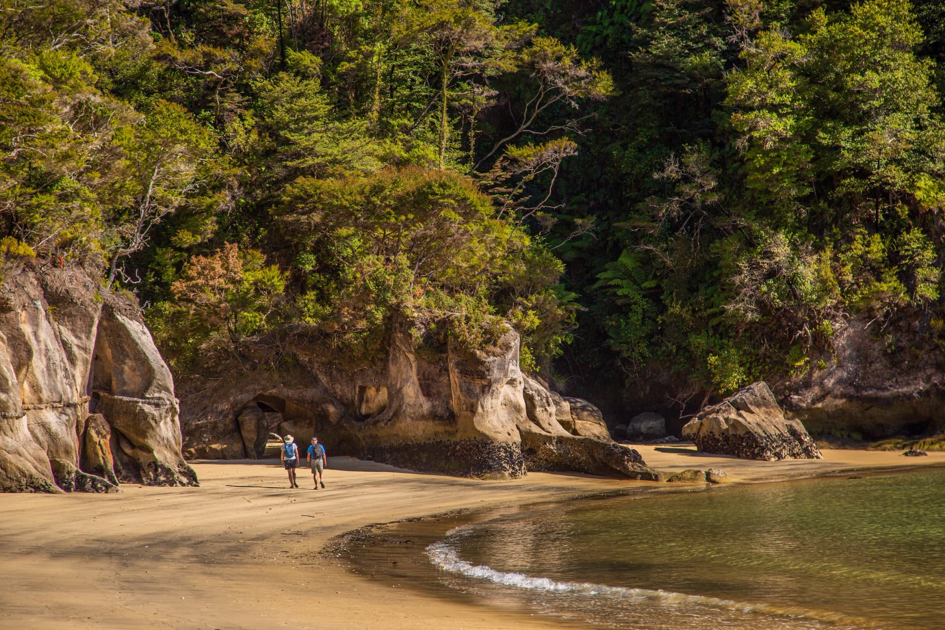 Abel Tasman National Park, New Zealand
