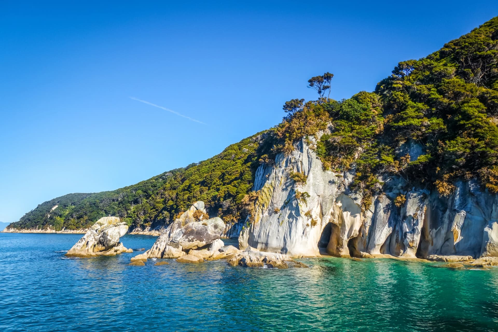 Creek in Abel Tasman National Park, New Zealand