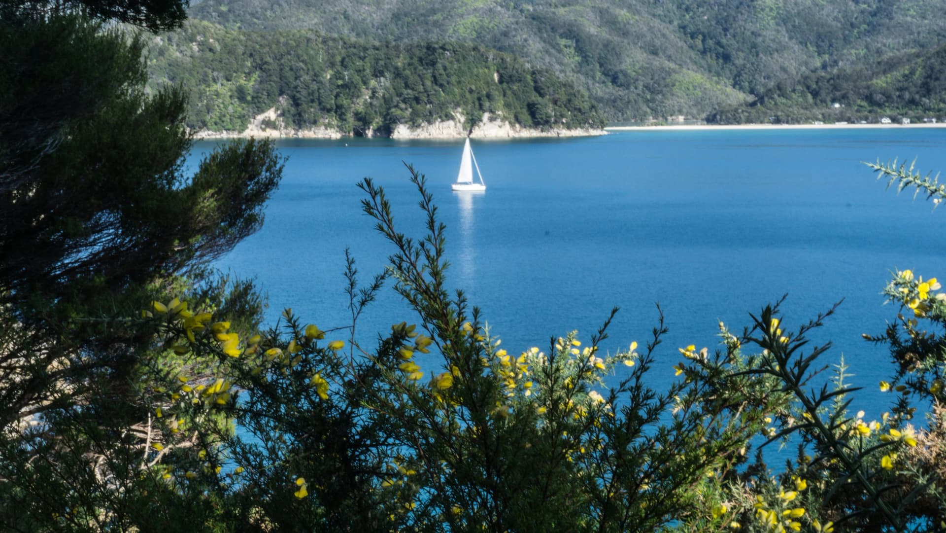Abel Tasman Great Walk - New Zealand's South Island