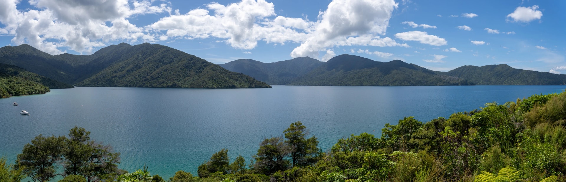 Endeavour Inlet and Punga Cove