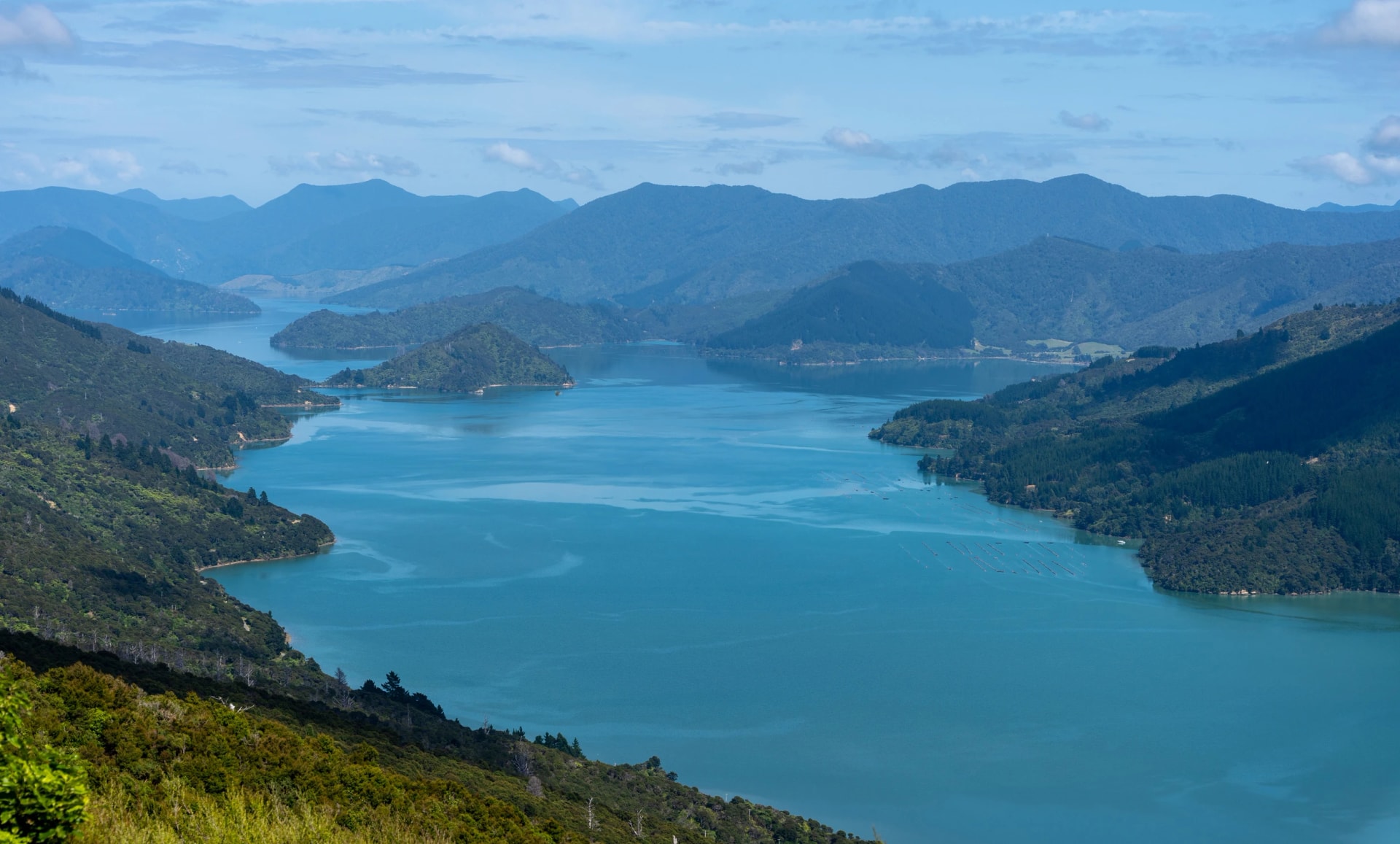 Ridge view over Kenepuru Sound