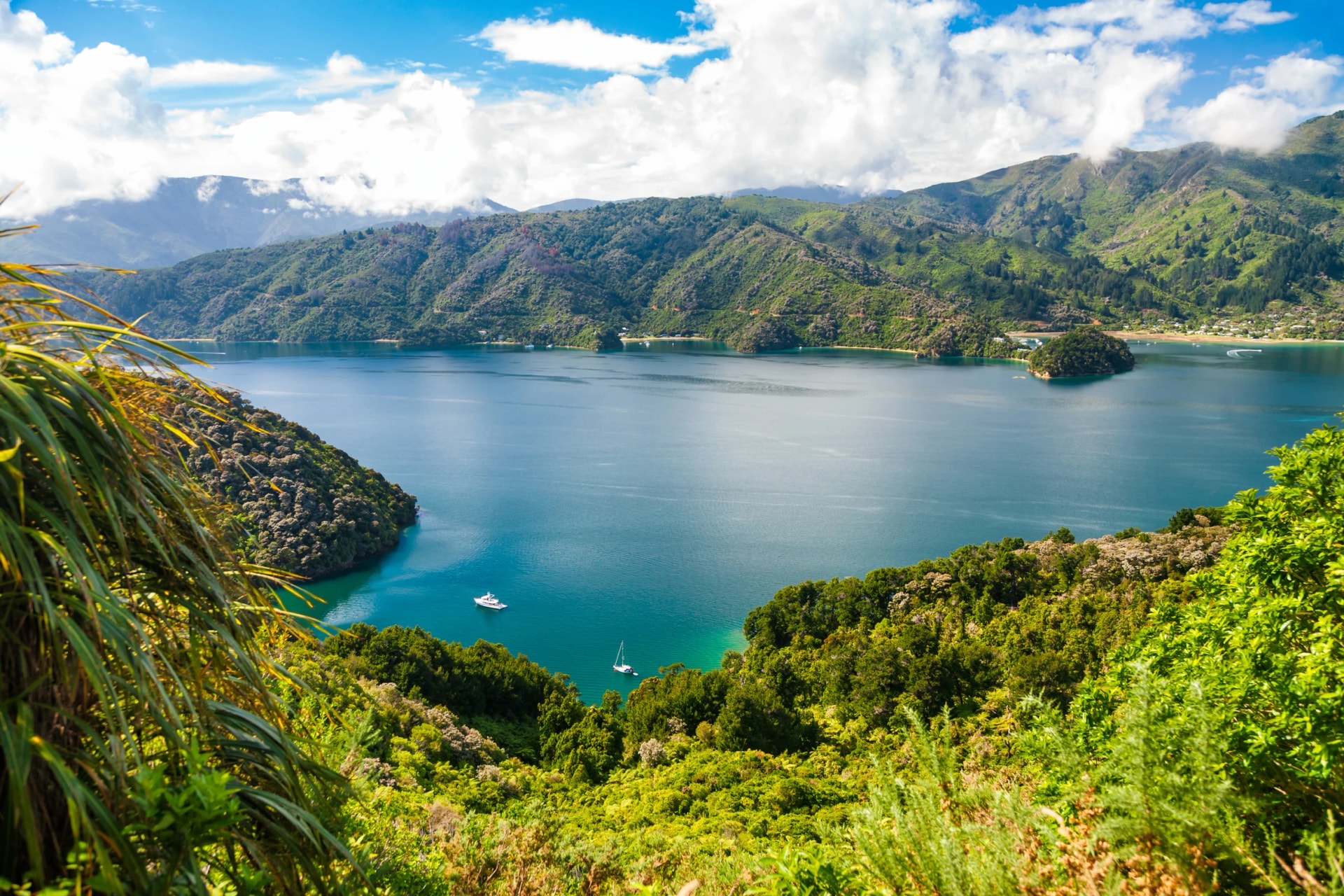 Grove Arm of Queen Charlotte Sound