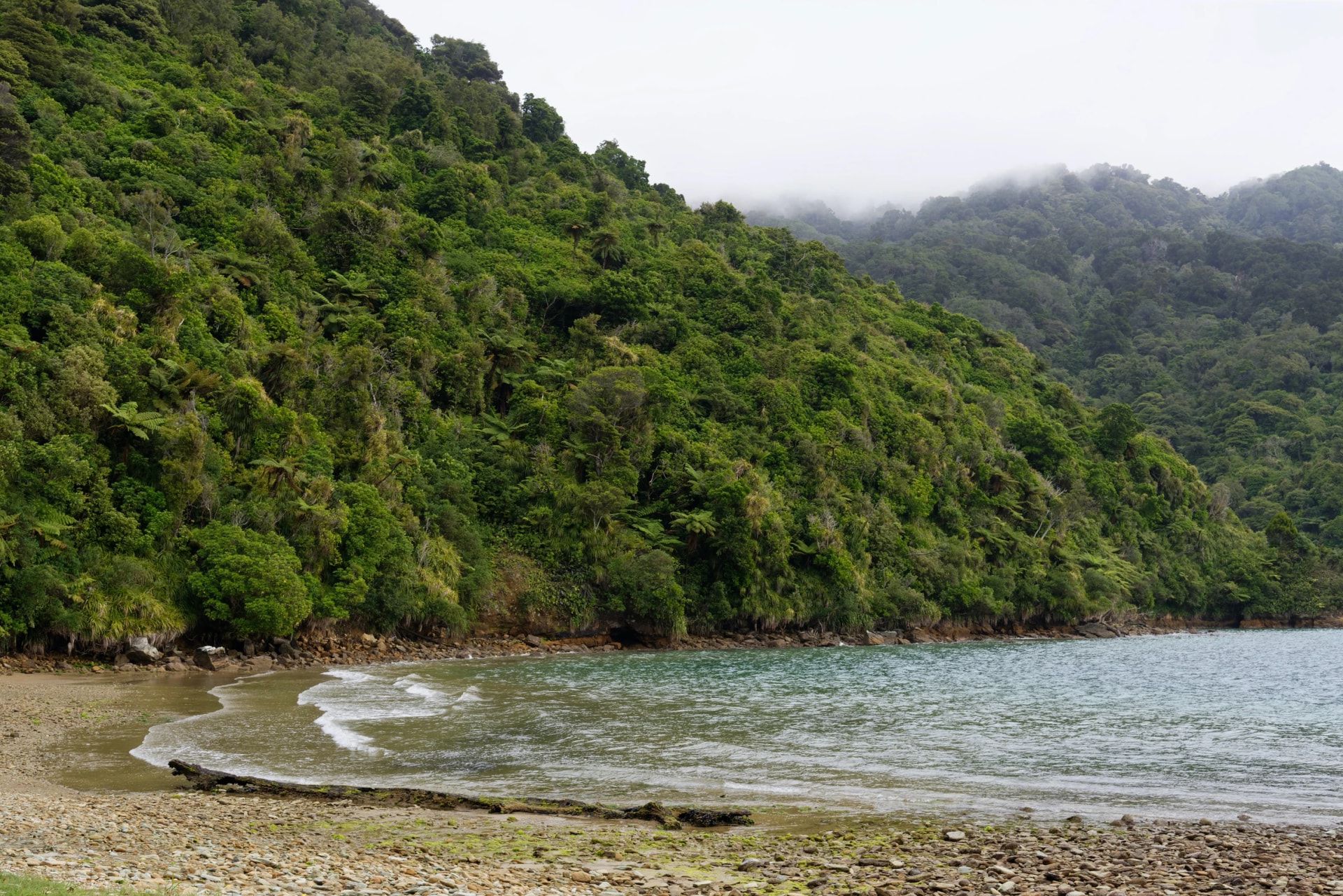 Ship Cove in the Marlbourgh Sounds, New Zealand
