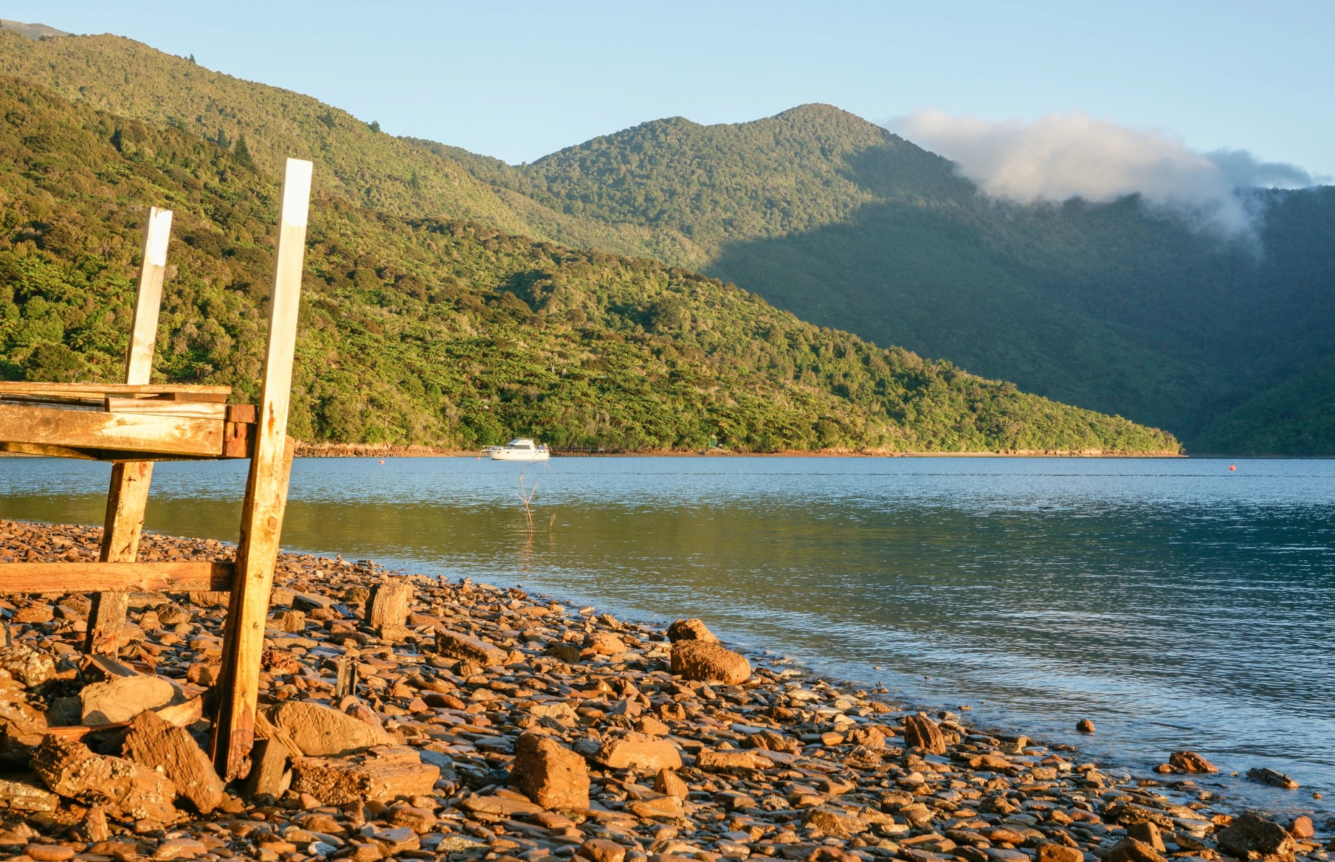 Stony foreshore in Marlborough Sounds bay at sunrise.