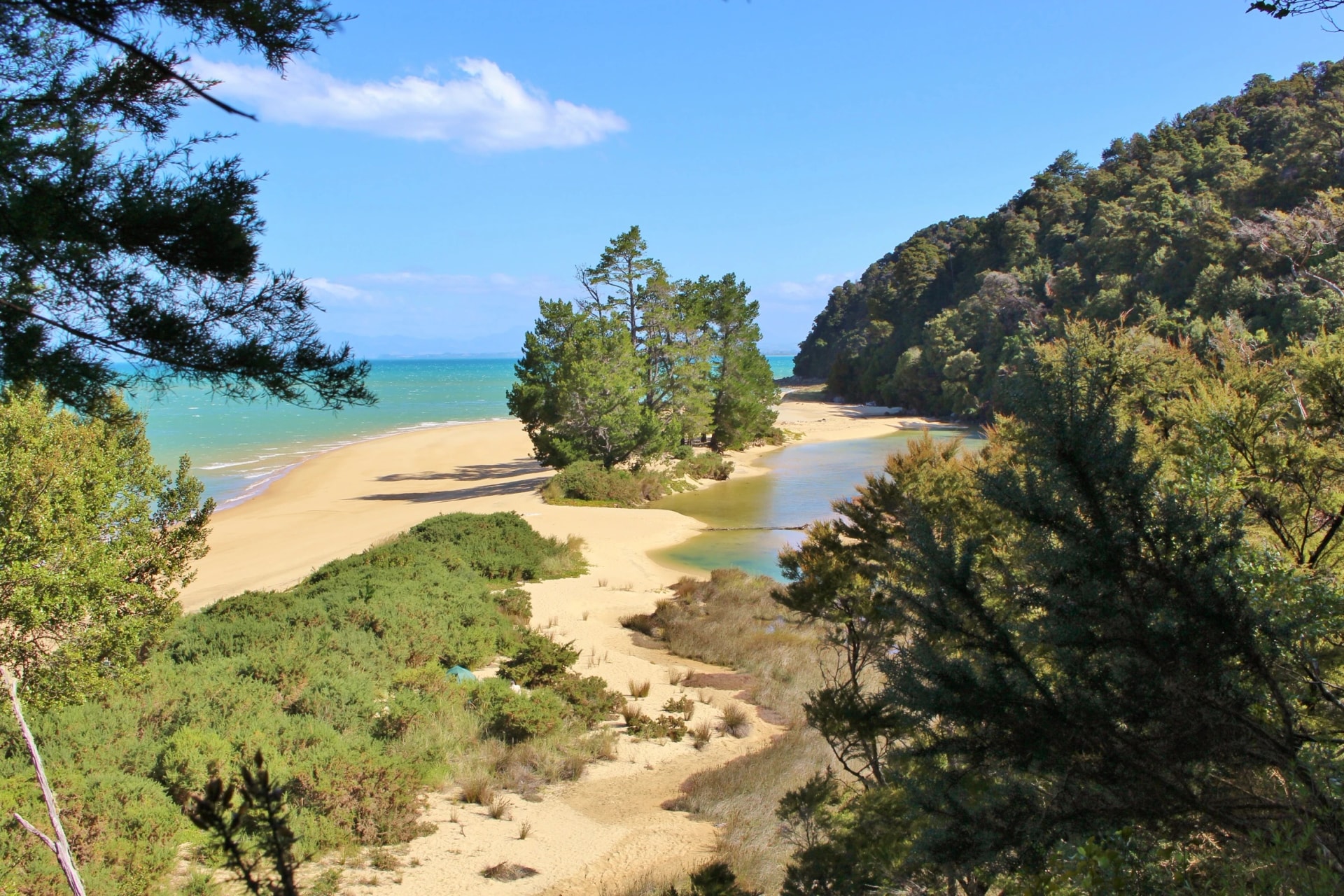 Apple Tree Bay's sandspit from the track