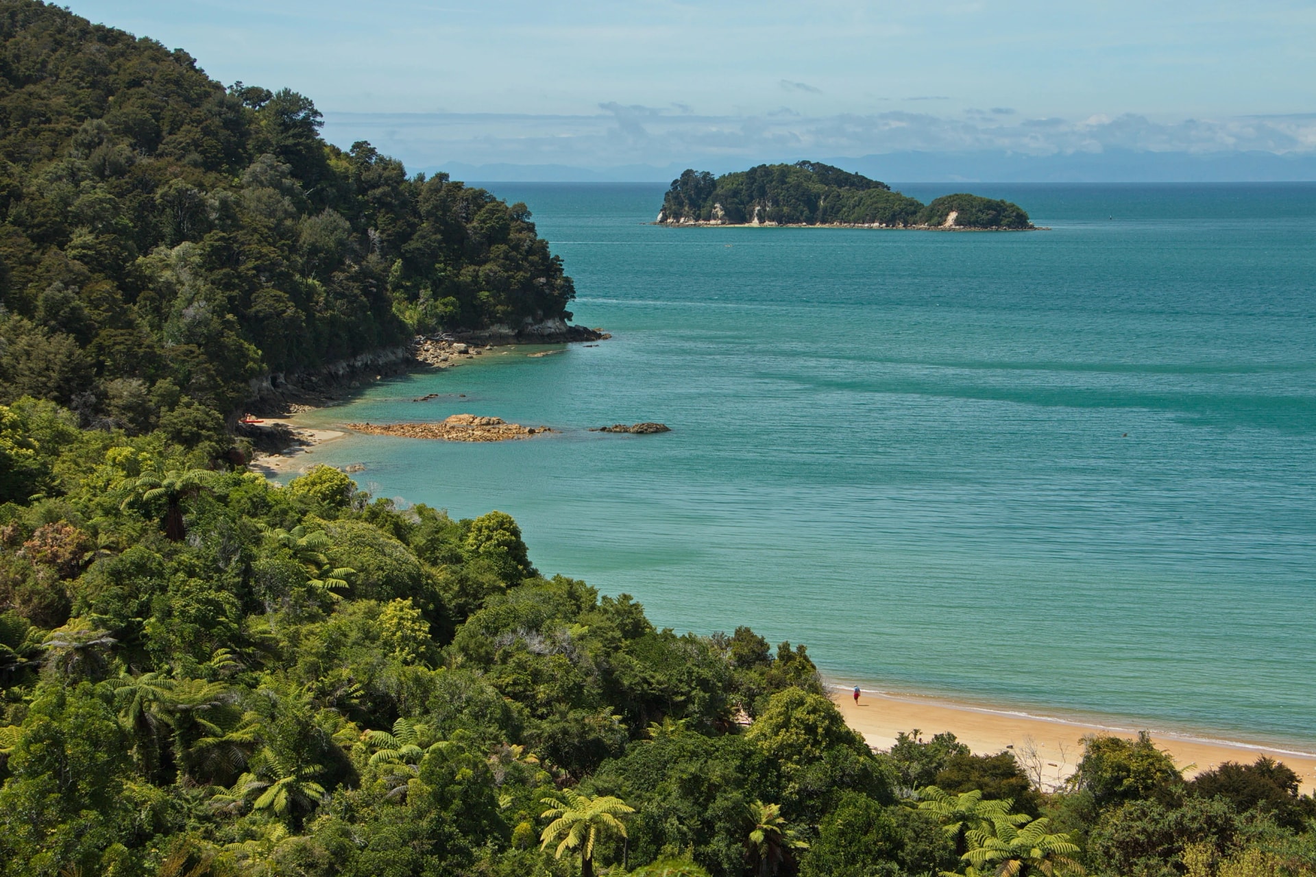 The coast near Apple Tree Bay