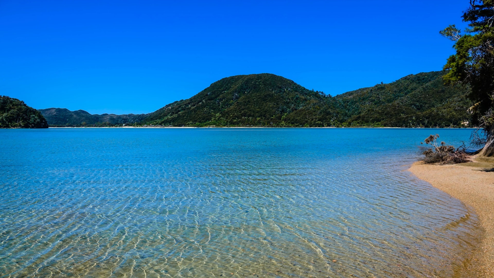 Awaroa Inlet at low tide