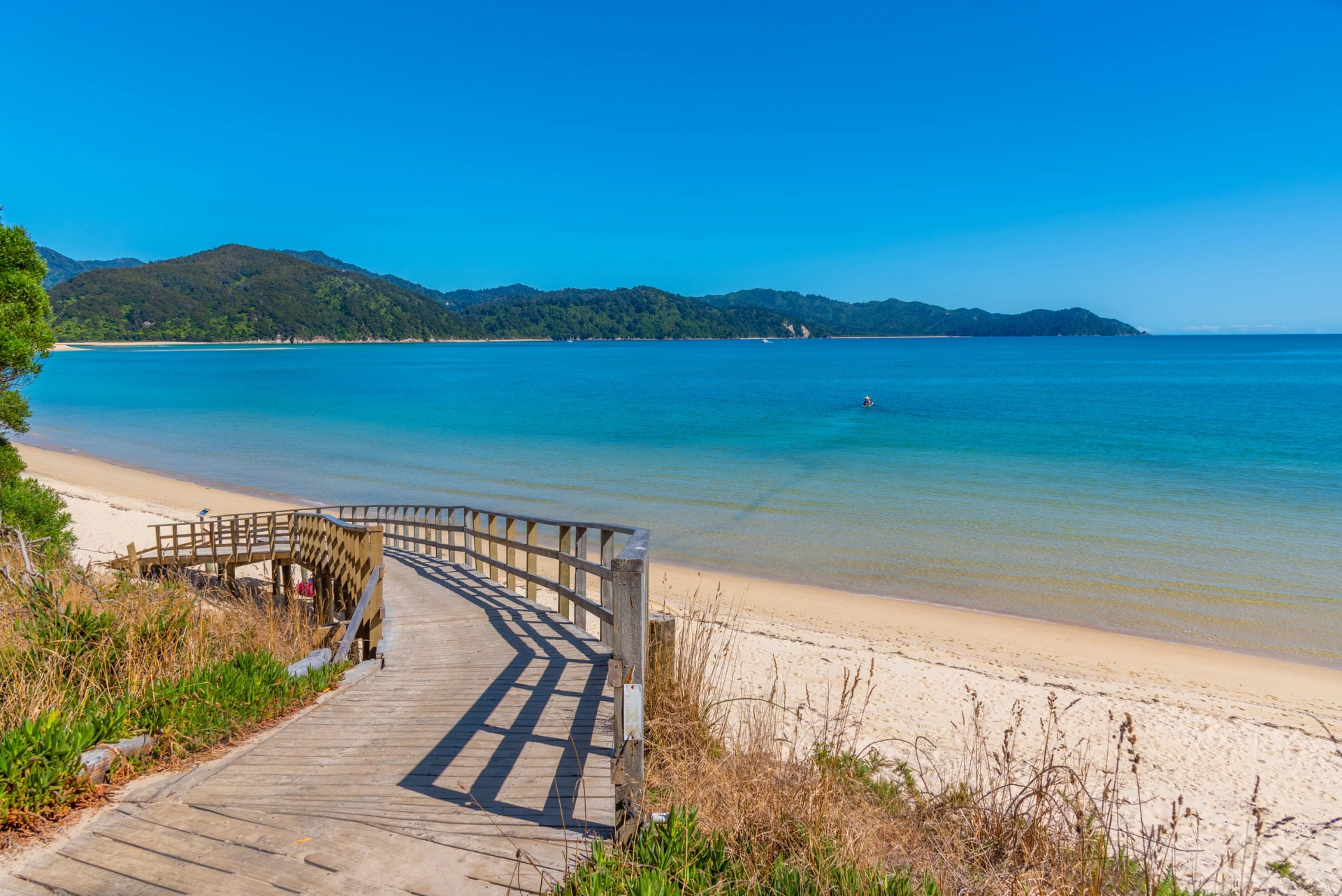 Boardwalk to Awaroa beach