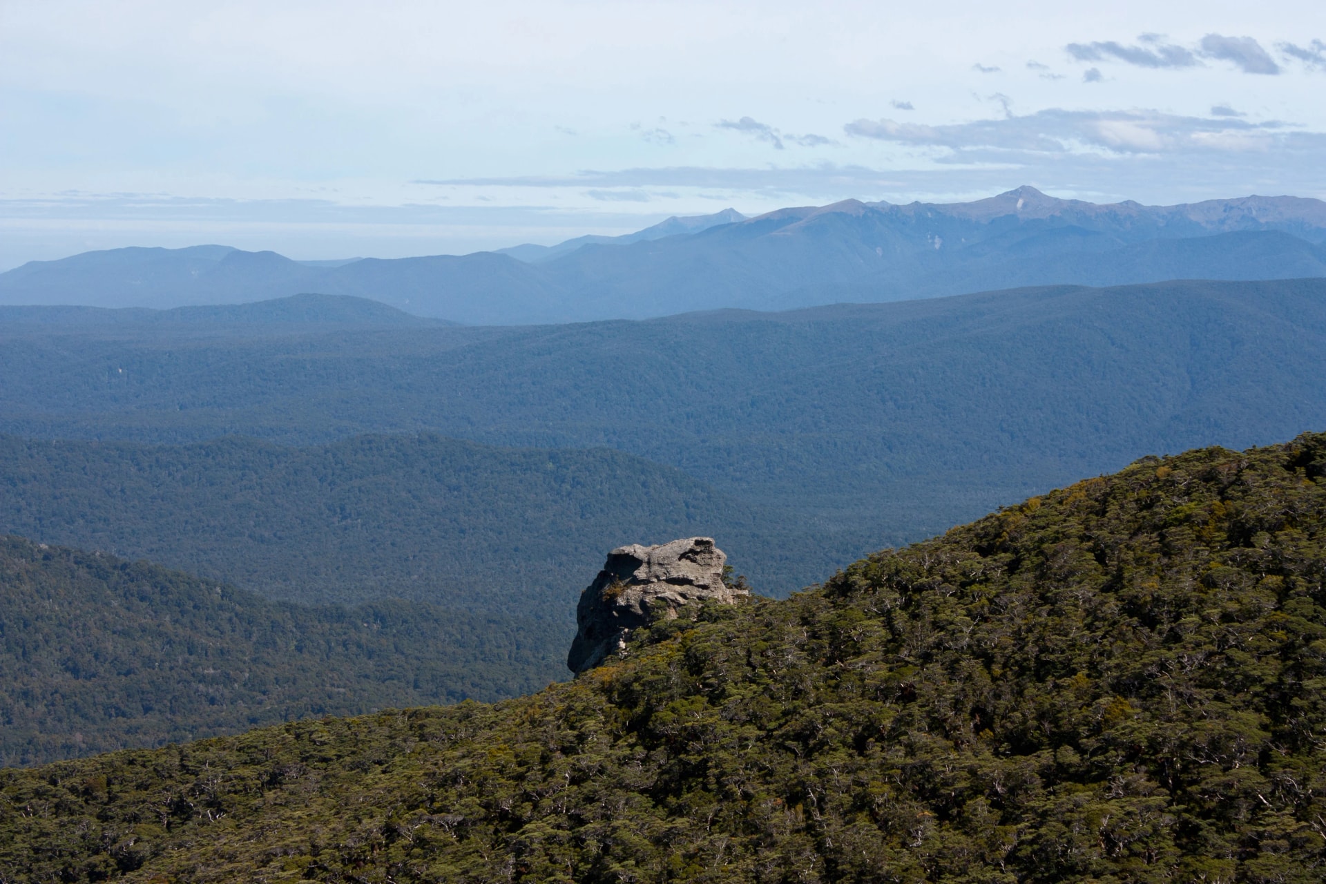 Frog-shaped rock on the ridge