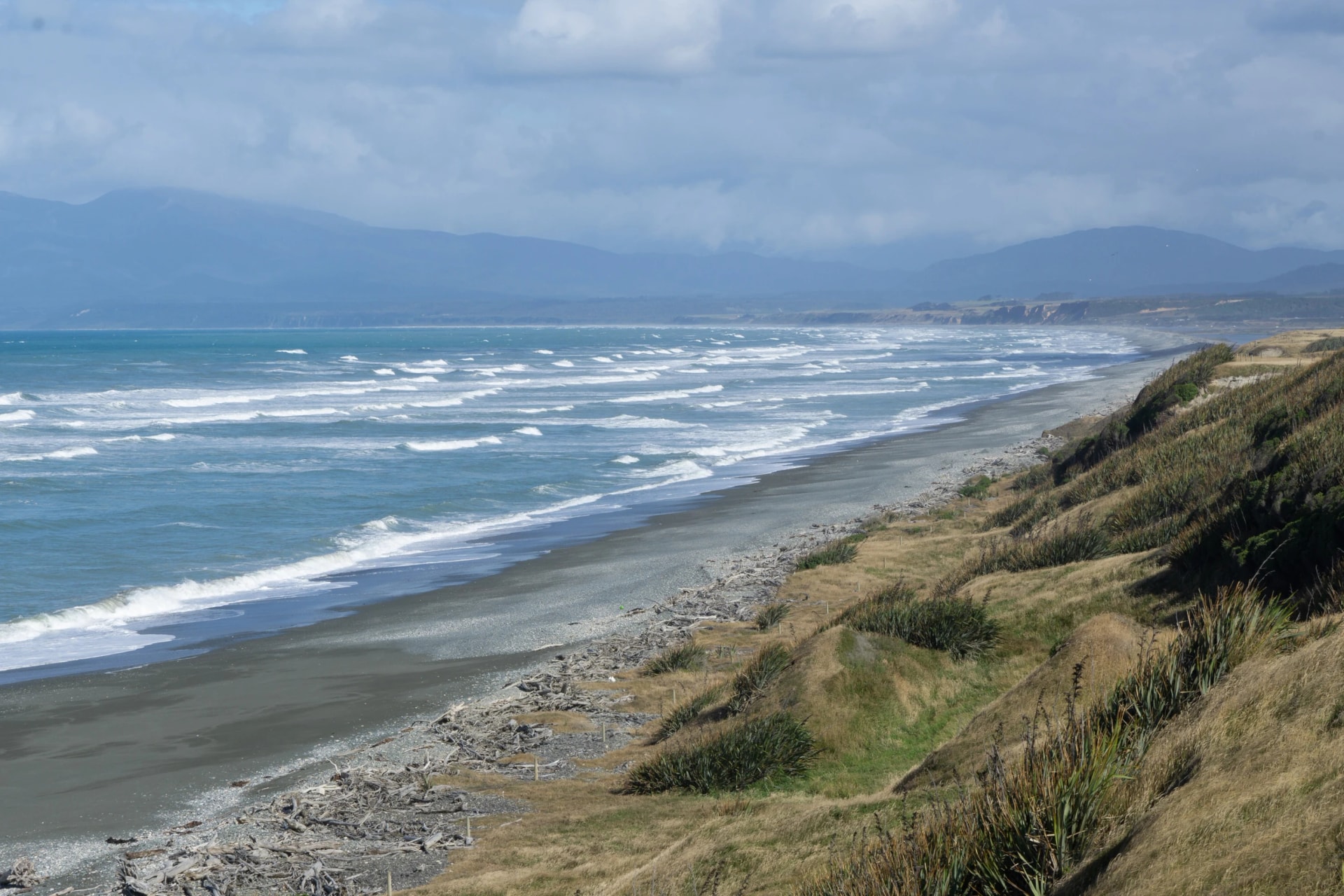 Driftwood on Te Waewae Bay