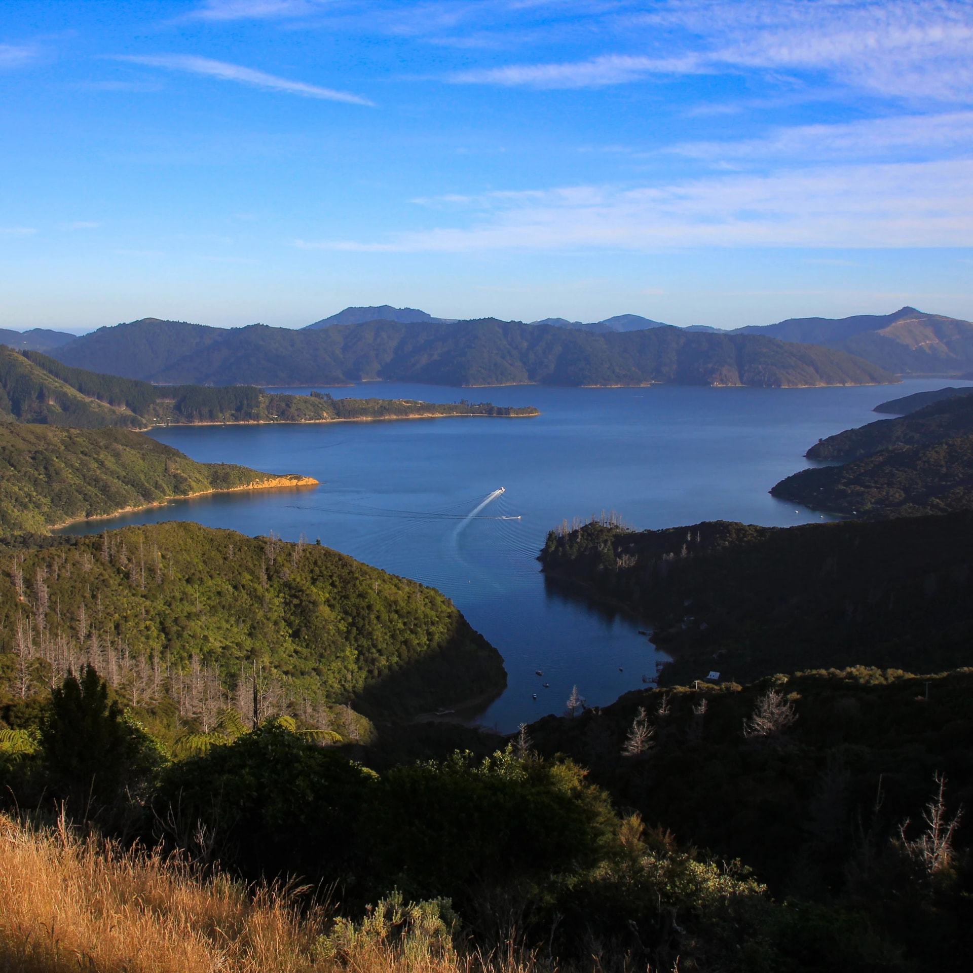 Bay in Endeavour Inlet