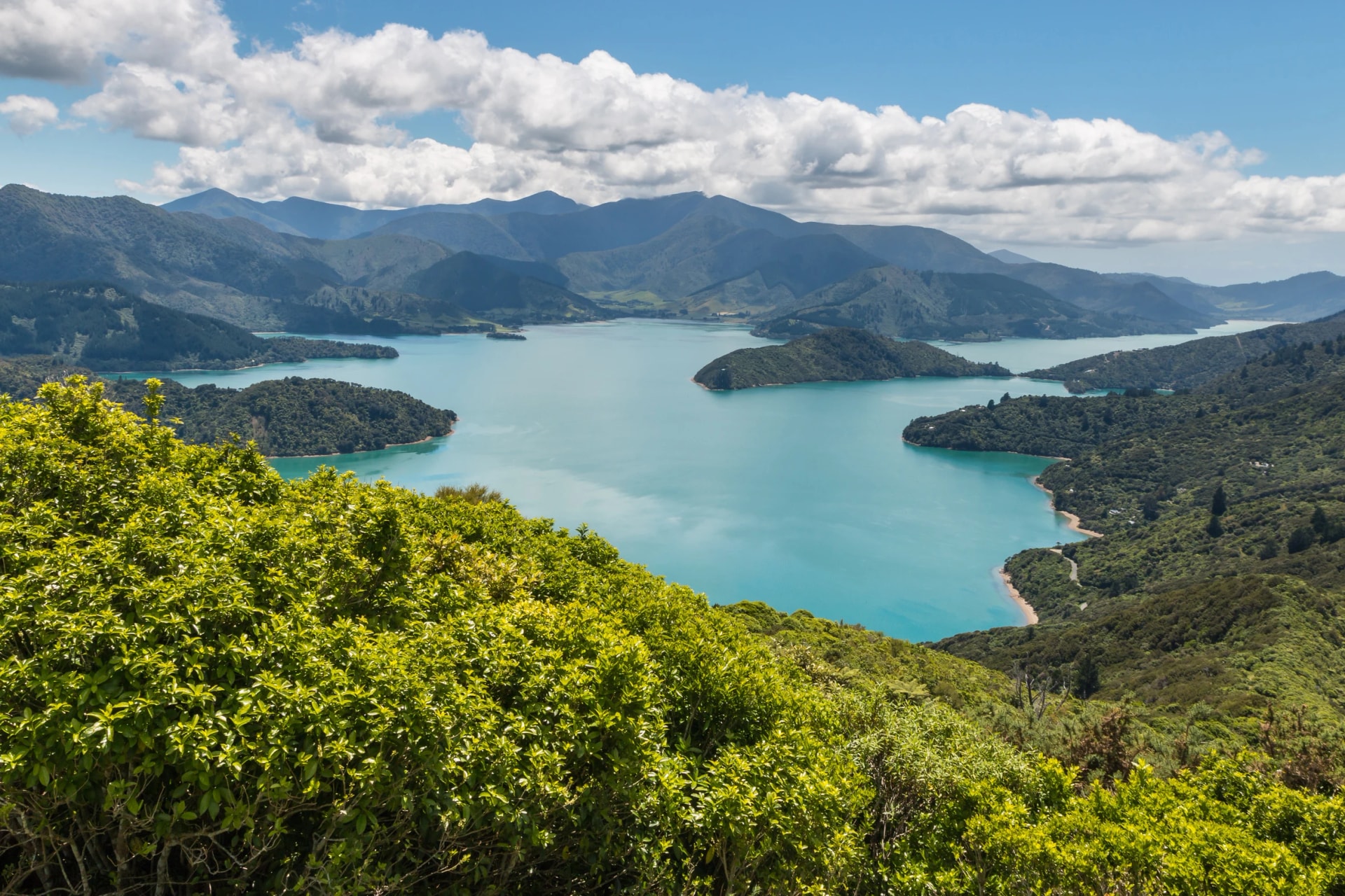 Queen Charlotte Sound from the air