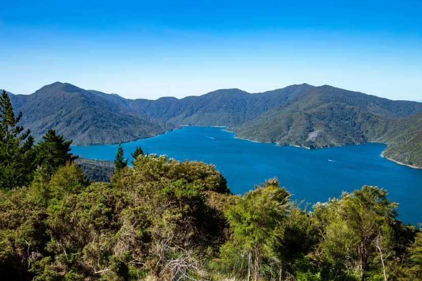 Endeavour Inlet, Tawa Bay, Marlborough Sounds, South Island, New Zealand, Oceania.