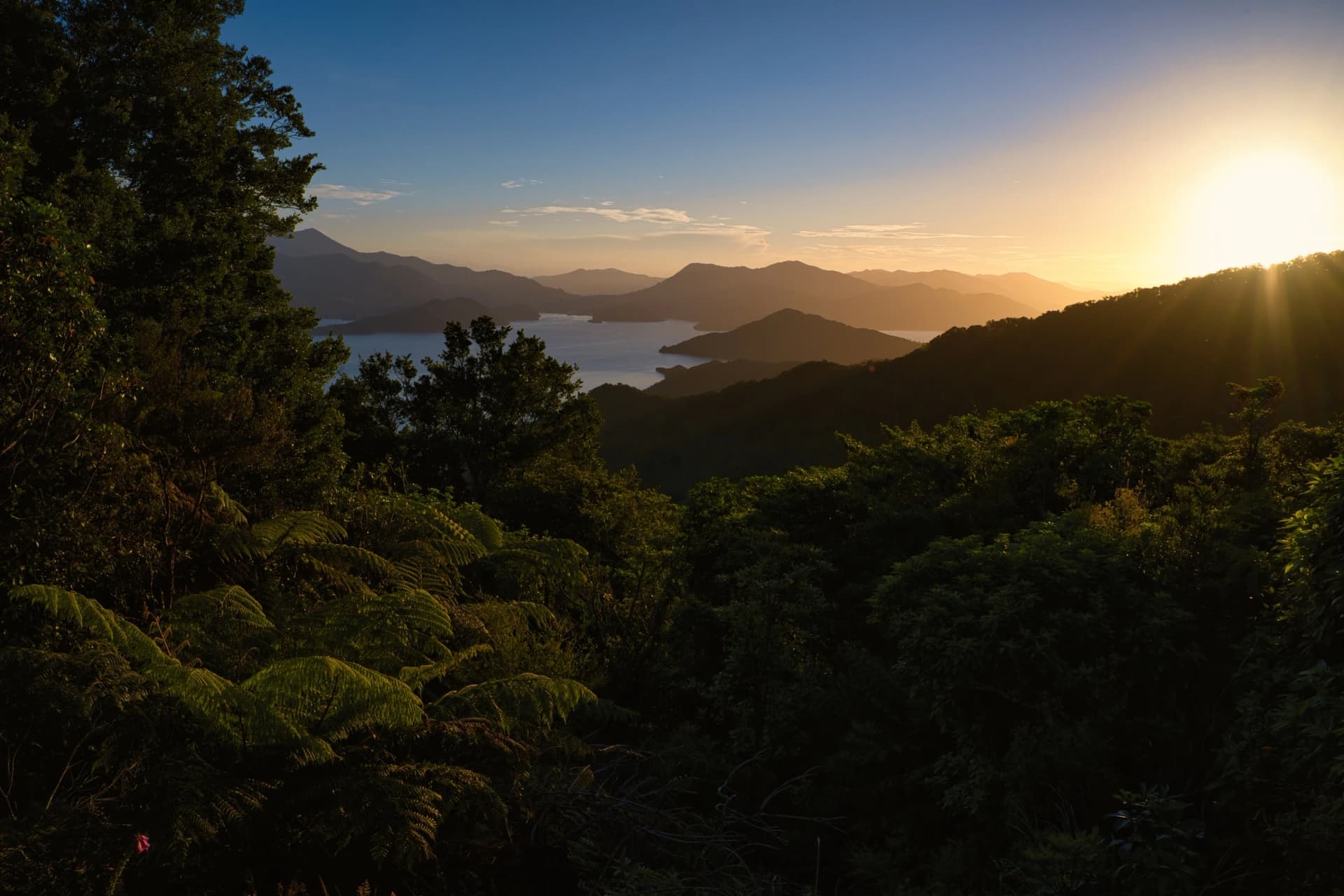 Sunset overlooking Nikau Cove, Marlborough Sounds, New Zealand