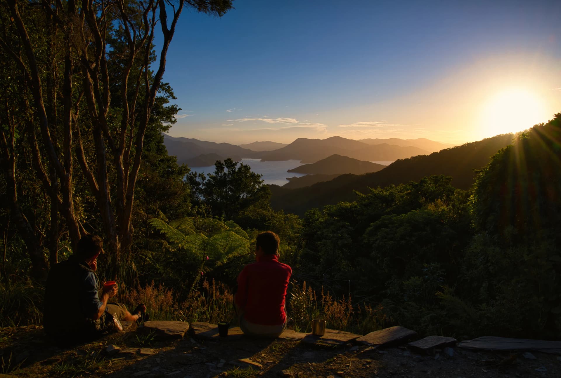 Sunset overlooking Nikau Cove, Marlborough Sounds, New Zealand