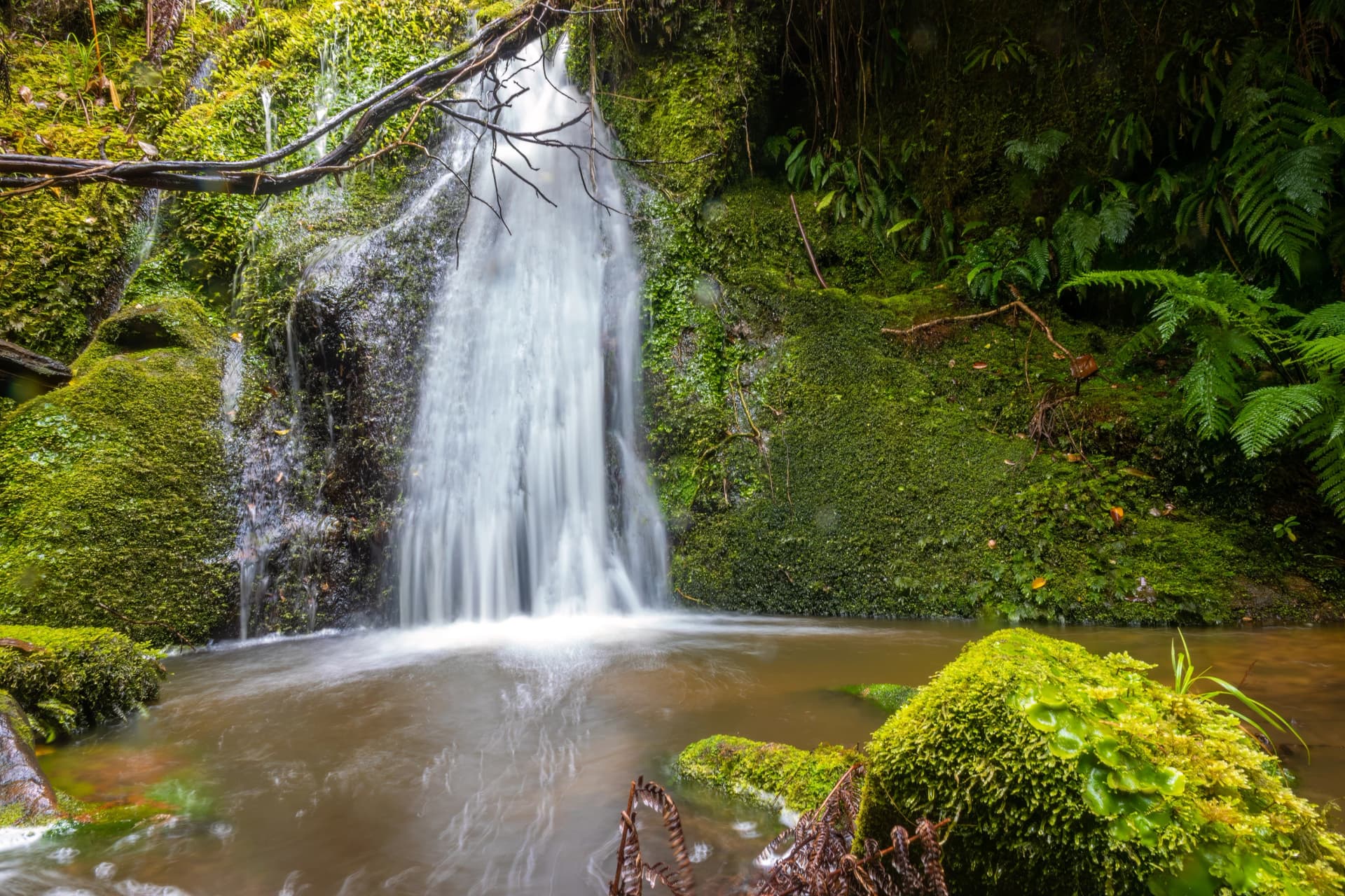 Waterfall along the coastal trail of the Abel Tasman National park on the north end of the South Isalnd of New Zealand