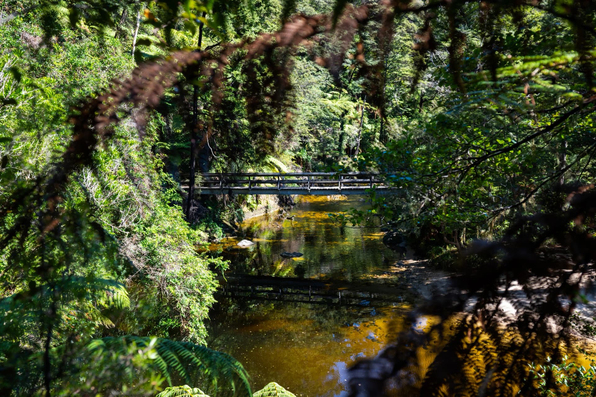 A bridge over a river on the Abel Tasman National Park track, New Zealand
