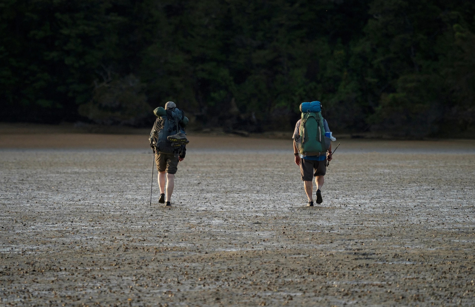 Elderly pair of hikers with backpacks walking on mud flat during low tide in Abel Tasman National Park New Zealand