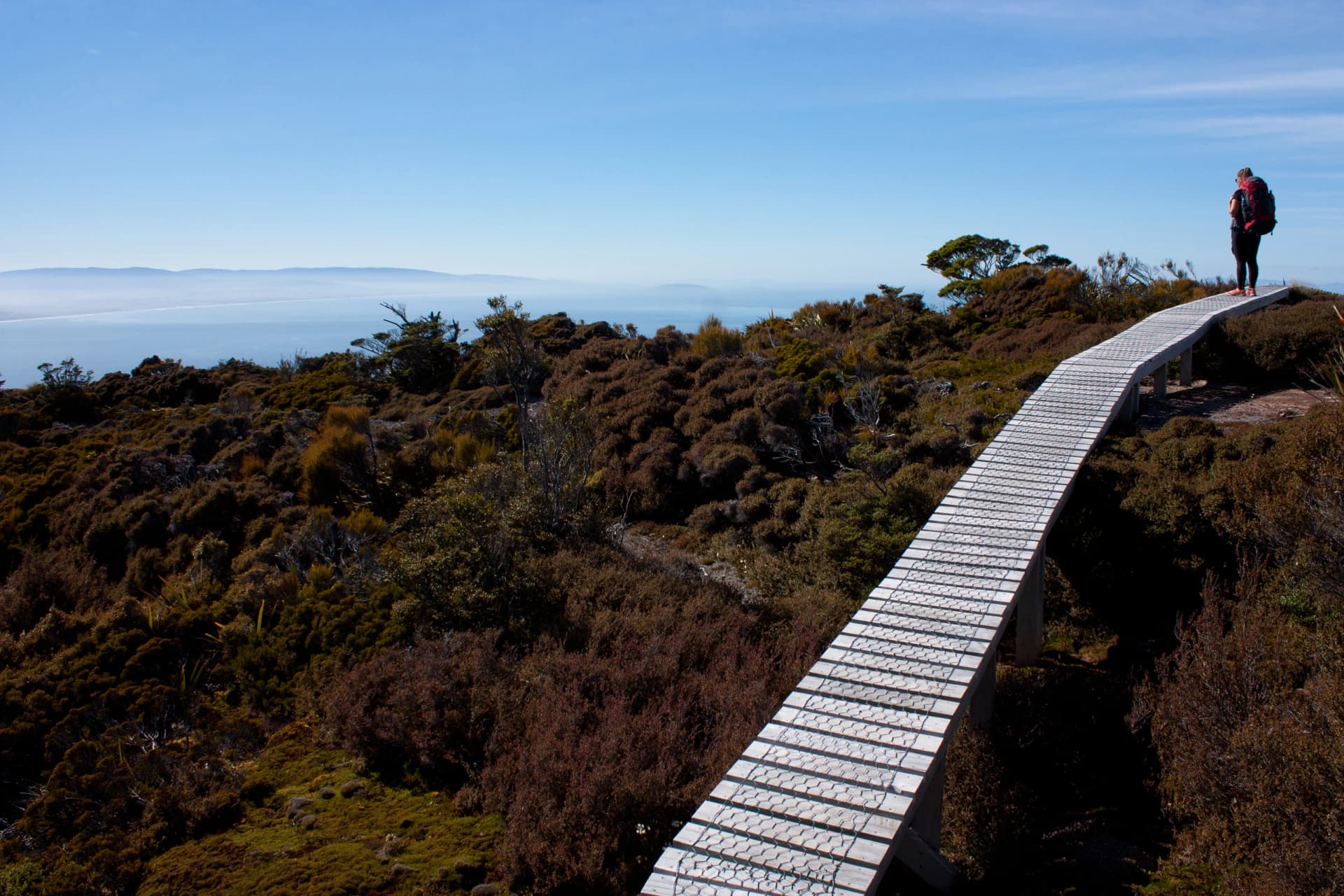 A woman with a backpack standing on a boardwalk on a ridge and looking at the sea at the Humpridge Walk in Fiordland / Southland in the South Island in New Zealand