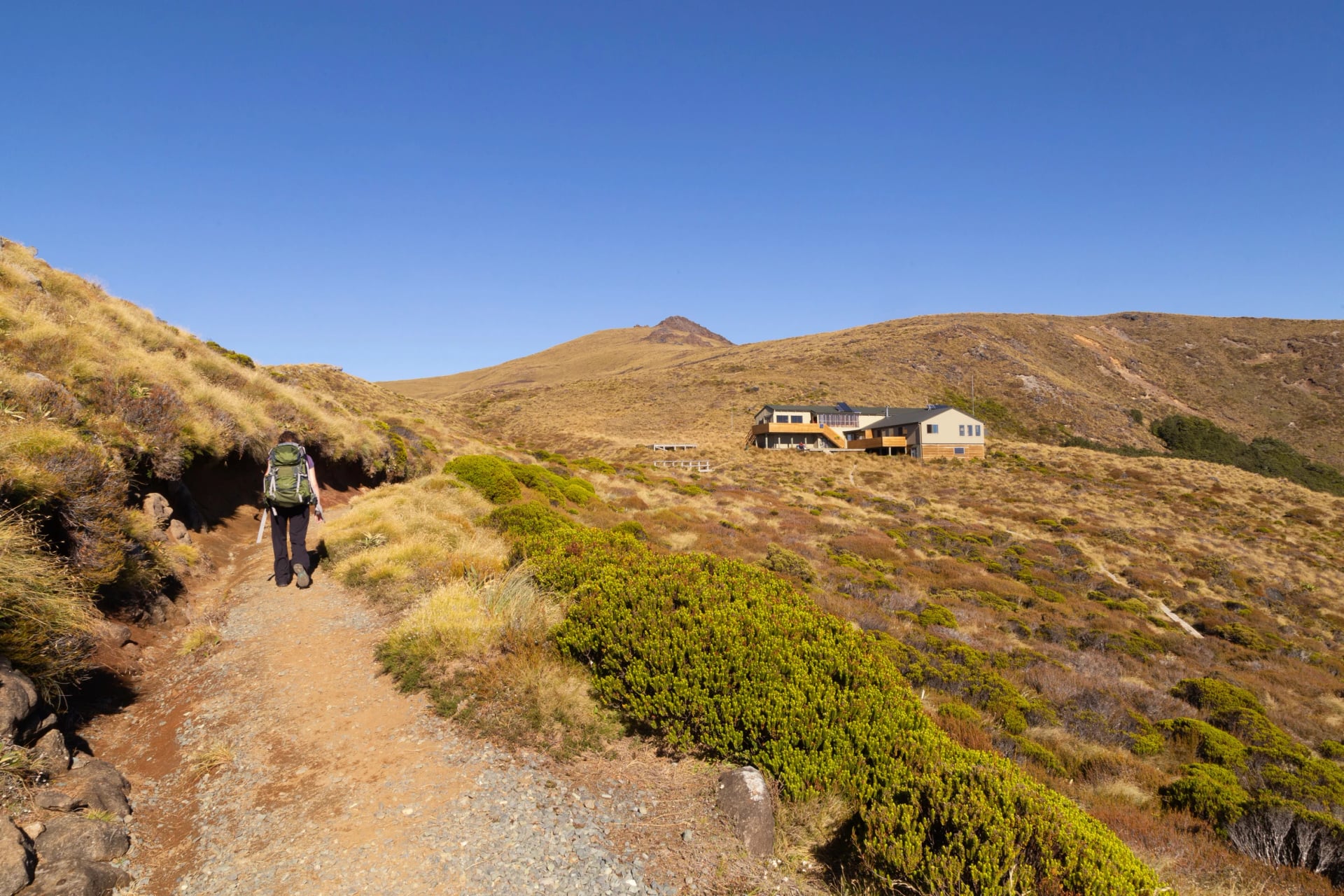 Above the bushline on the way to Luxmore Hut, the whole Te Anau basin opens up below the Kepler