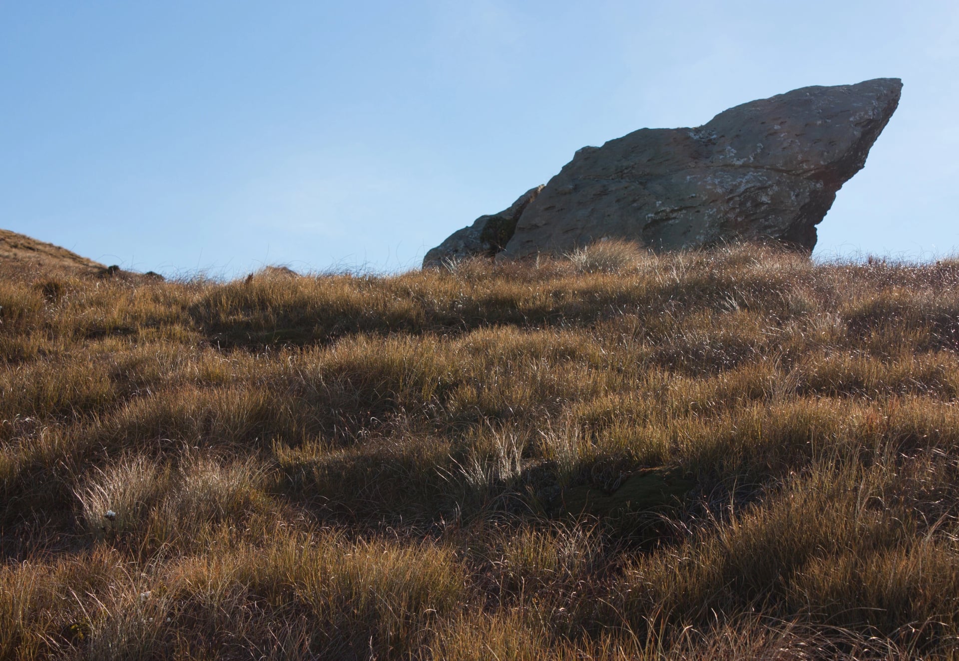 A boardwalk loop from Ōkaka Lodge circles tors like this one, with views right across Western Southland