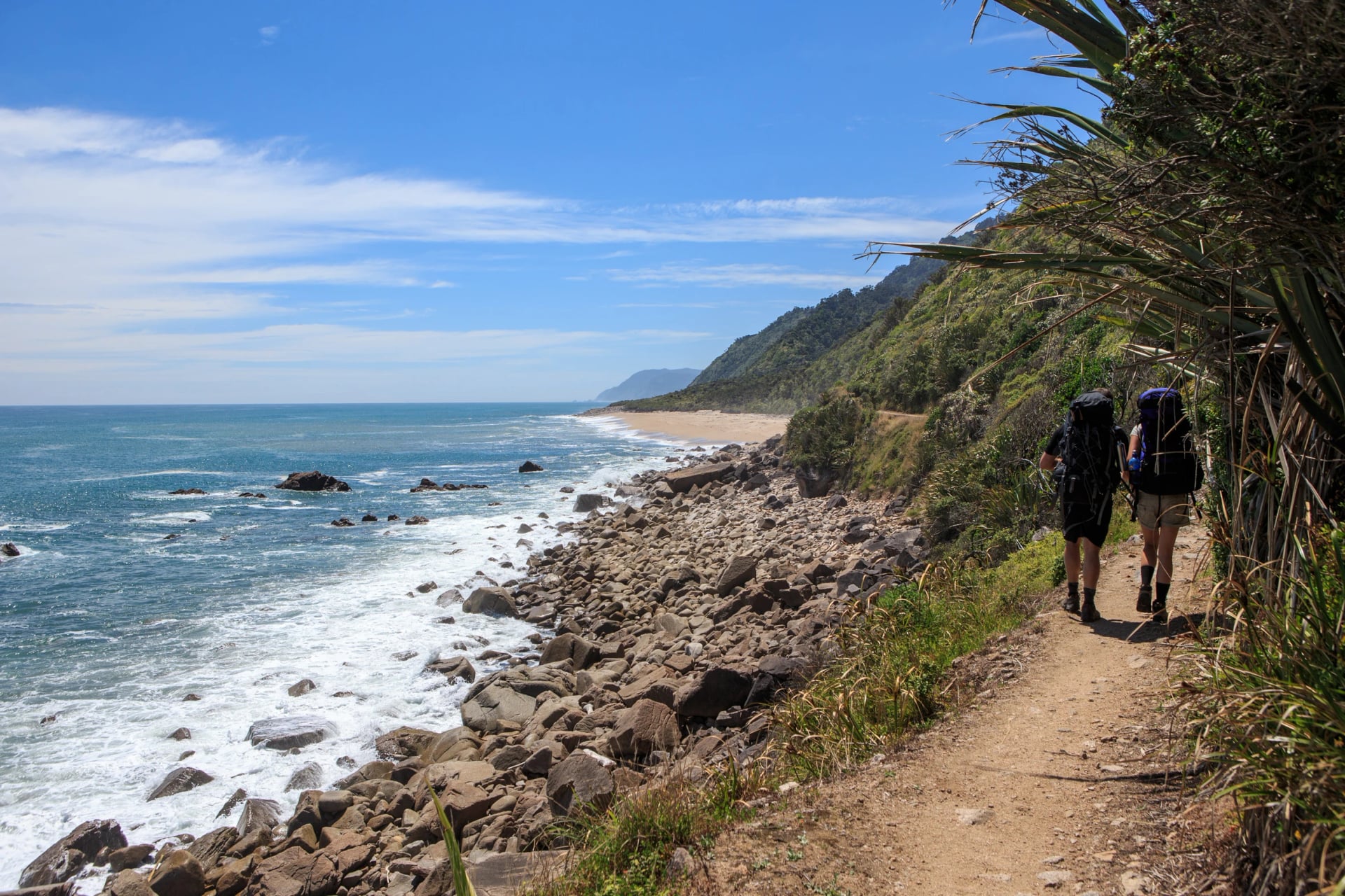 Nīkau, the world's southernmost palm, line the Heaphy's last stretch beside the Tasman Sea
