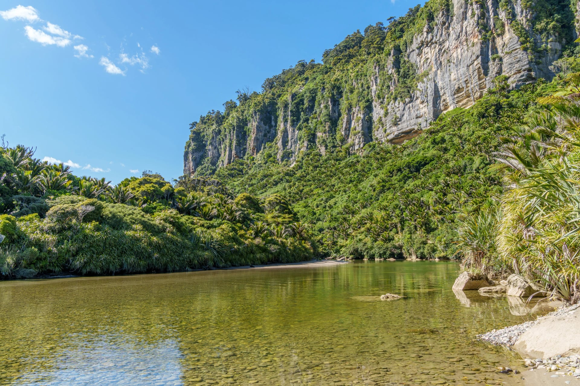 The Pororari River gorge, with its nīkau palms and limestone cliffs, is the last stretch down to Punakaiki