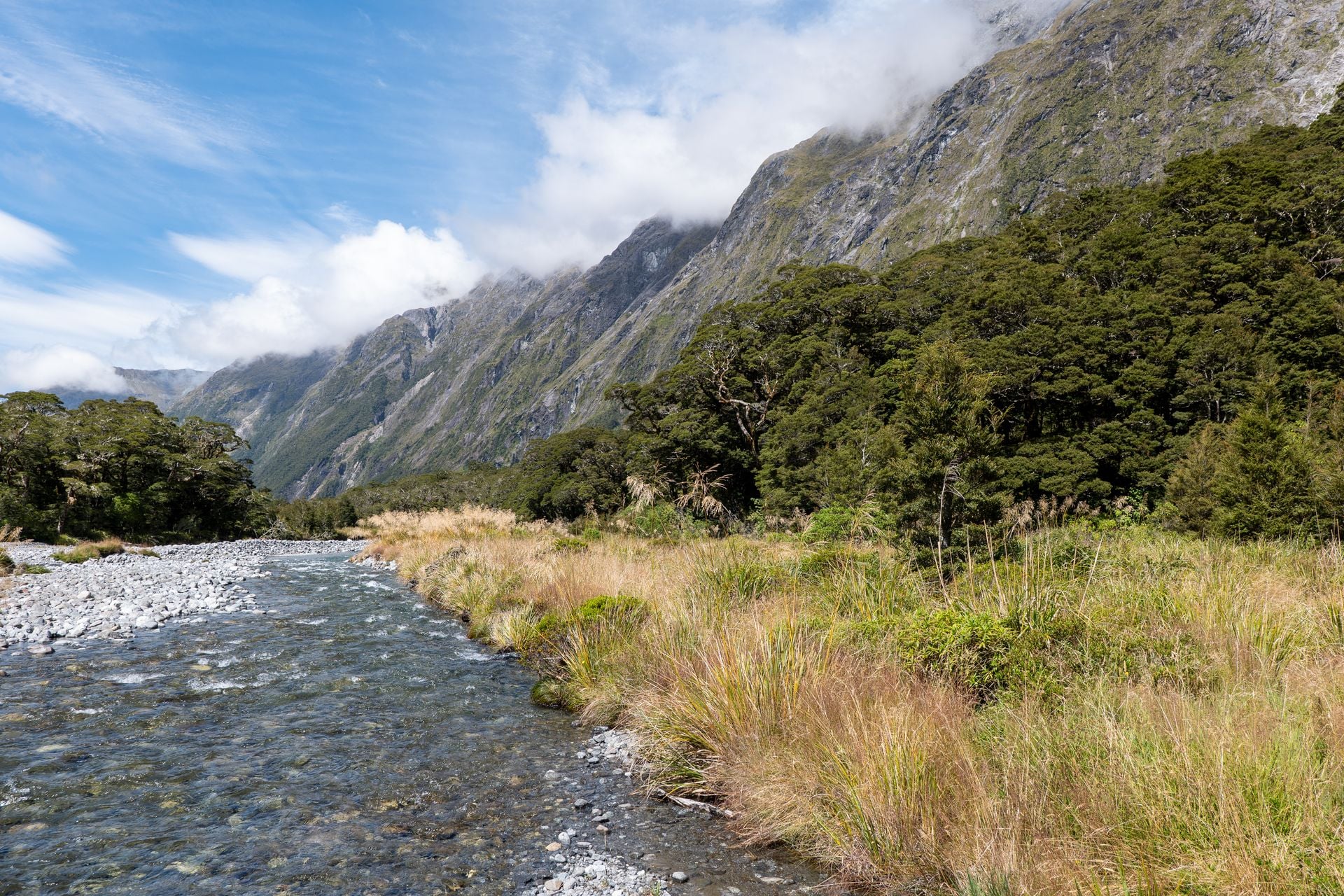 Follow the river flats into Fiordland before the rain returns