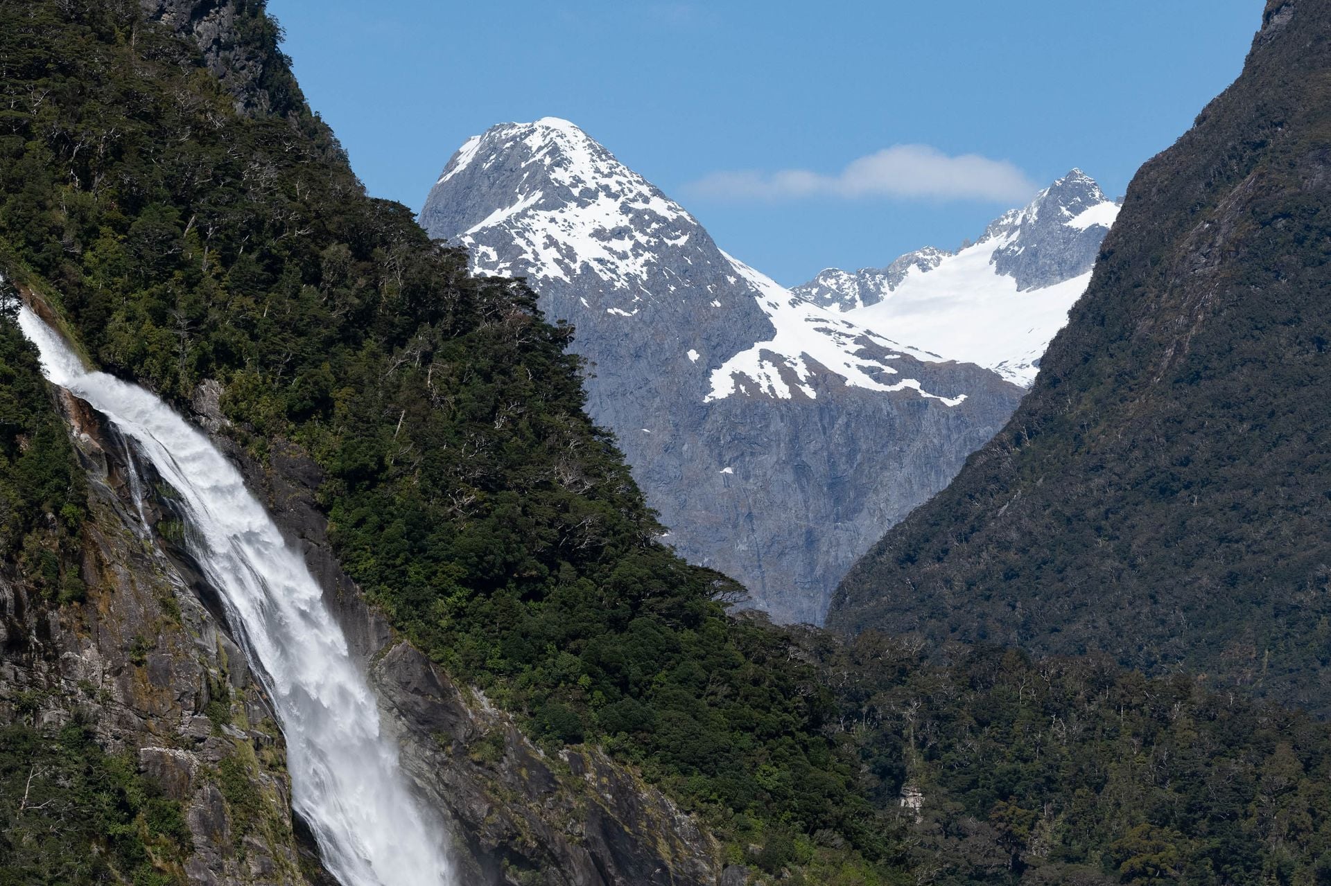 Watch the waterfalls appear after a night of Fiordland rain