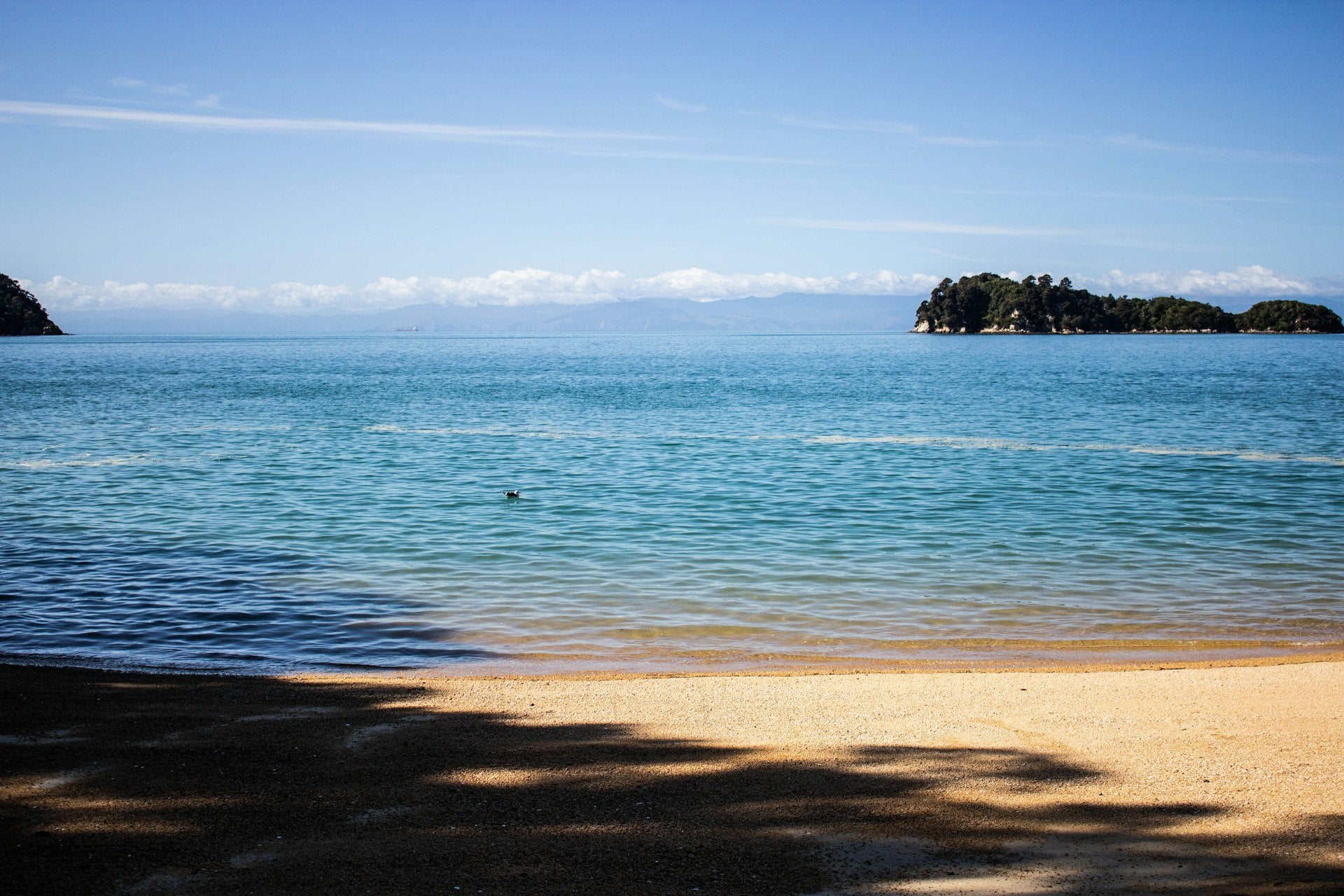 Catch the morning boat from Kaiteriteri or Mārahau